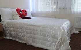 Dream Room